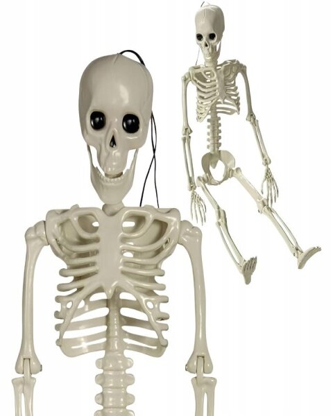 Lidská kostra skelet 40 cm halloween dekorace