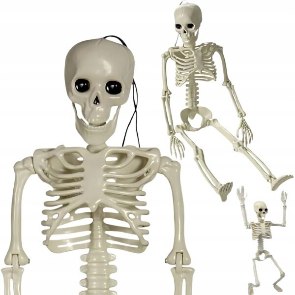 Lidská kostra skelet 40 cm halloween dekorace