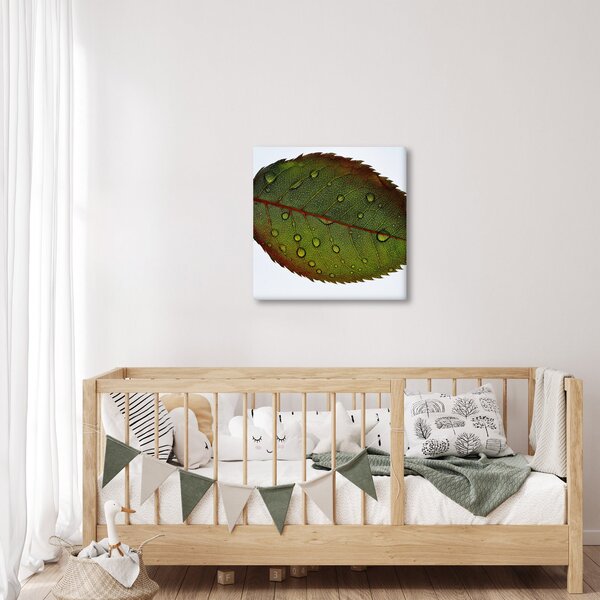 Obraz - List růže (30x30 cm)