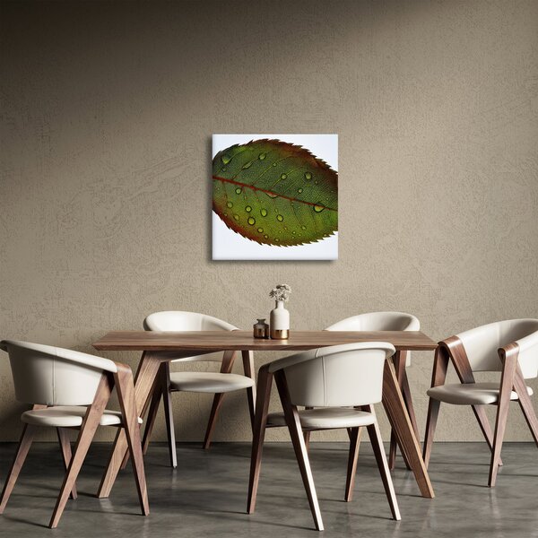 Obraz - List růže (30x30 cm)
