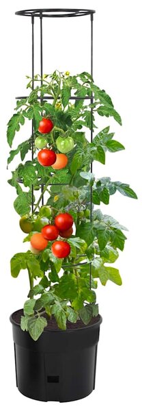 Truhlík na pěstování rajčat antracit Ø 39 x 150 cm polypropylen 152210