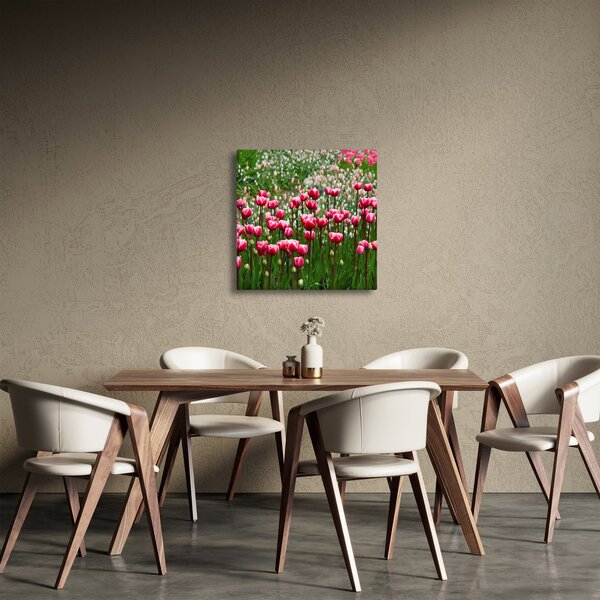 Obraz tulipánů (30x30 cm)