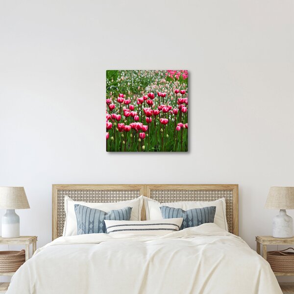Obraz tulipánů (30x30 cm)