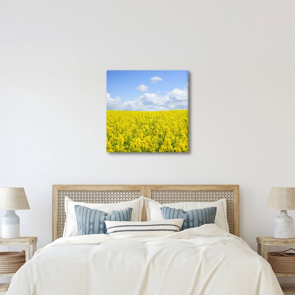 Obraz žlutého pole (30x30 cm)