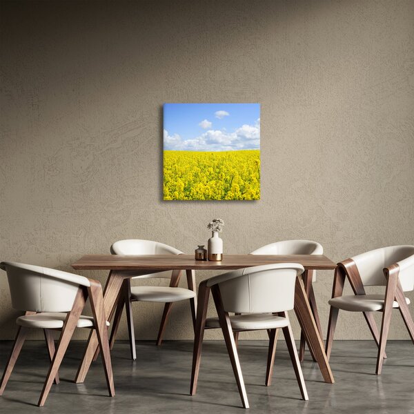Obraz žlutého pole (30x30 cm)