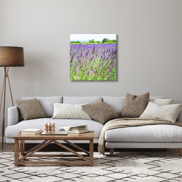 Obraz pole s levandulemi (30x30 cm)