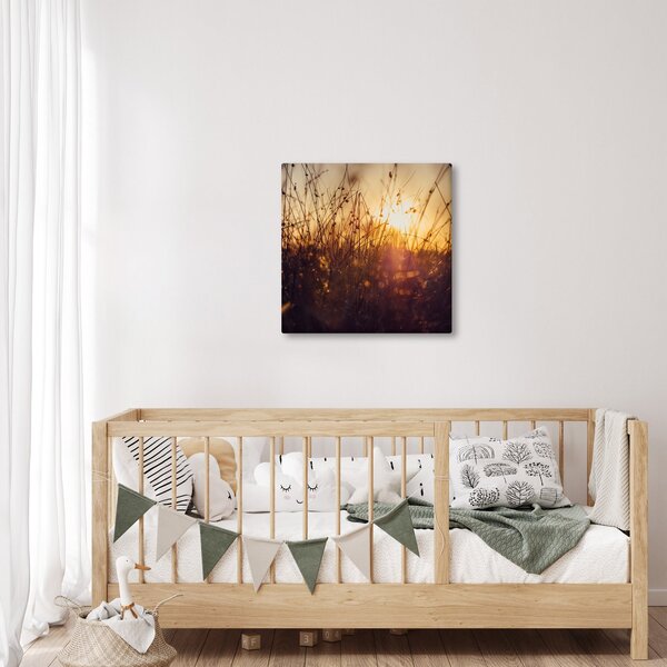 Obraz pole při západu slunce (30x30 cm)
