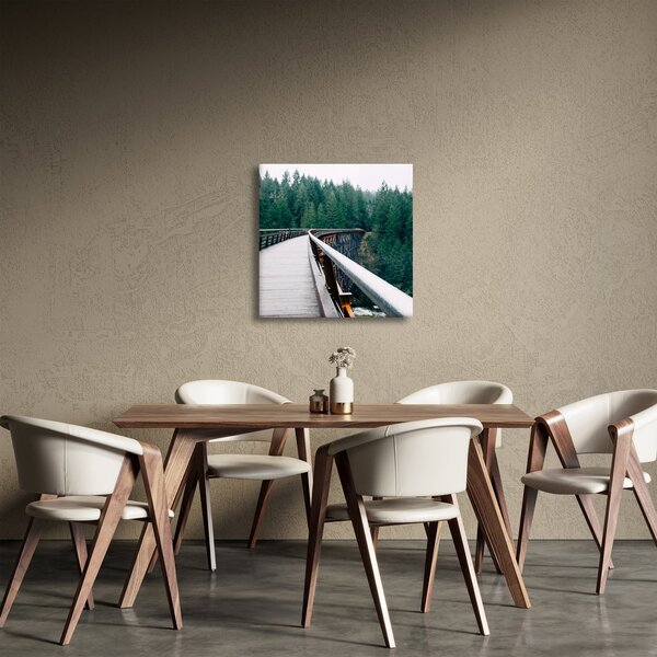 Obraz - Most k vrcholkům stromů (30x30 cm)