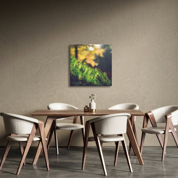Obraz mechu s houbou (30x30 cm)