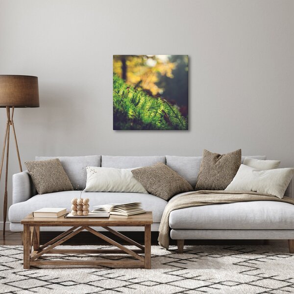 Obraz mechu s houbou (30x30 cm)