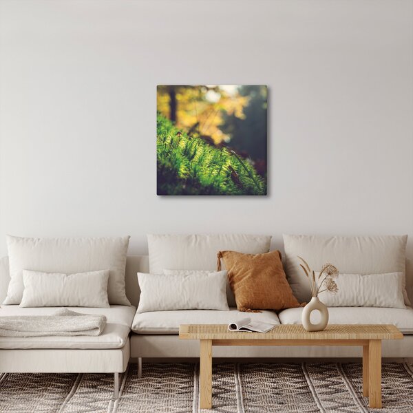 Obraz mechu s houbou (30x30 cm)