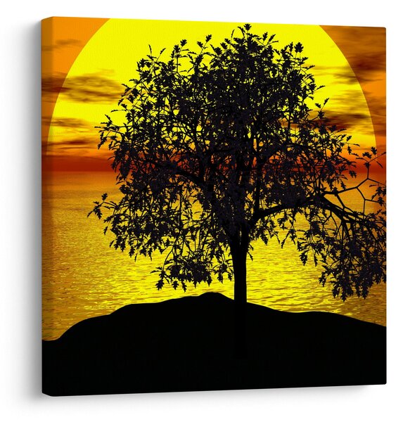 Obraz siluety stromu (30x30 cm)