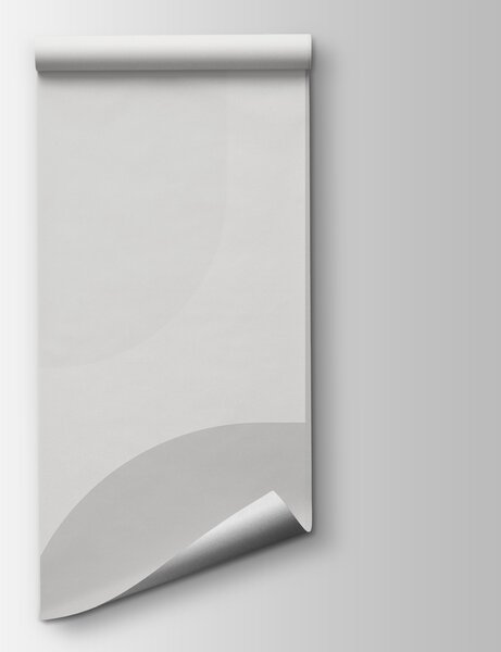 Fototapeta Šedé a bílé pozadí, Moderní fototapety, Populární fototapety, w01500v1 - Tapeko.co.cz
