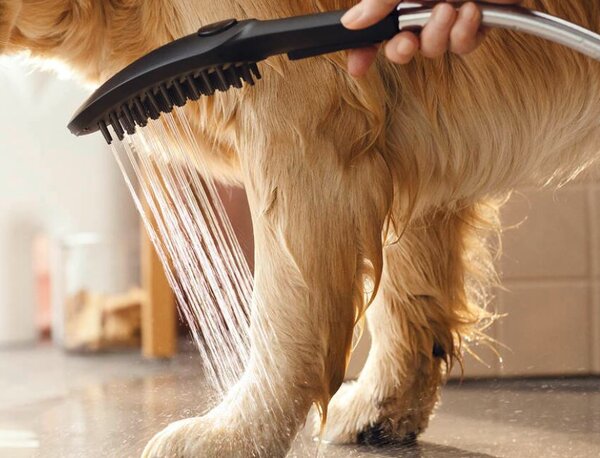 Hansgrohe DogShower Ruční sprcha pro psy 150 3jet s masážními tryskami, matná bílá 26640700