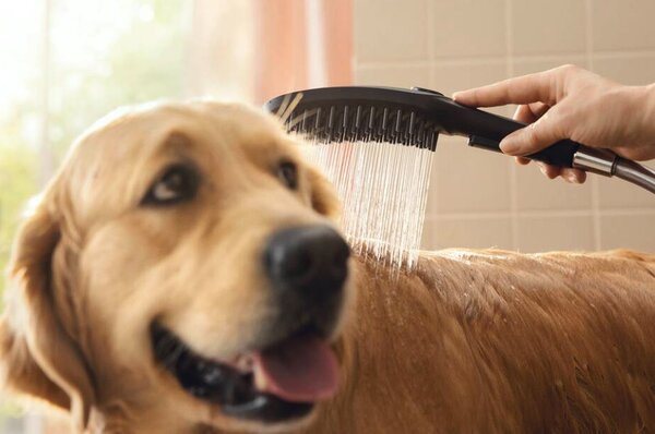 Hansgrohe DogShower Ruční sprcha pro psy 150 3jet s masážními tryskami, matná bílá 26640700