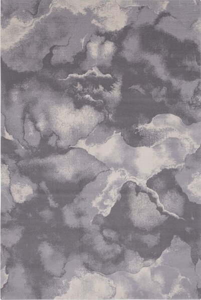 Šedý vlněný koberec 160x240 cm Cirrus – Agnella