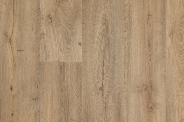 Tarkett - Francie PVC podlaha Duplex Fumed oak grey beige - 4m