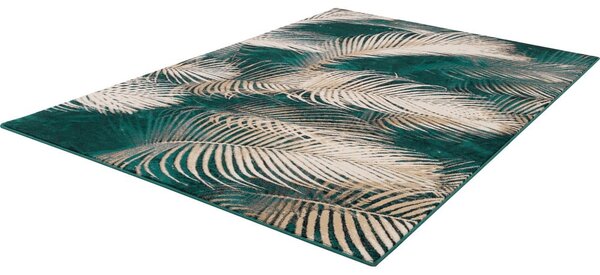 Vlněný koberec v petrolejové barvě 133x180 cm Areca – Agnella