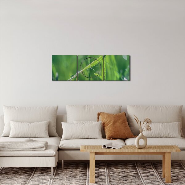 Obraz kapek rosy (s hodinami) (90x30 cm)