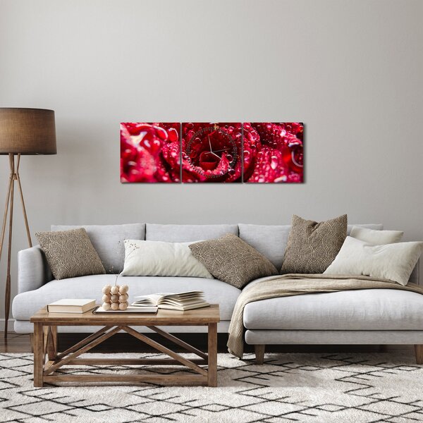 Obraz květu červené růže (s hodinami) (90x30 cm)