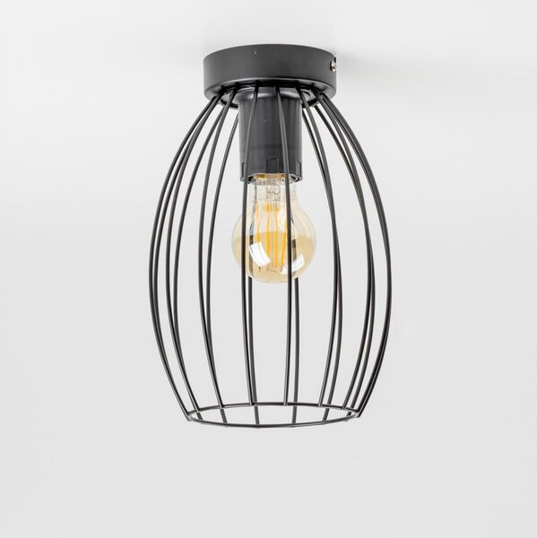 LED Stropní svítidlo 1xE27/6,5W/230V černá