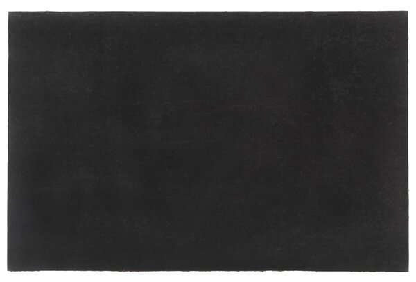 Rohožka před dveře přírodní 65 x 100 cm kokosové vlákno 155604