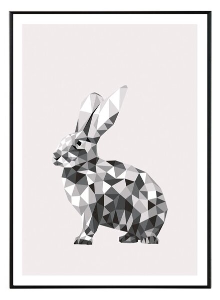 Bunny - 30x40 cm Obraz