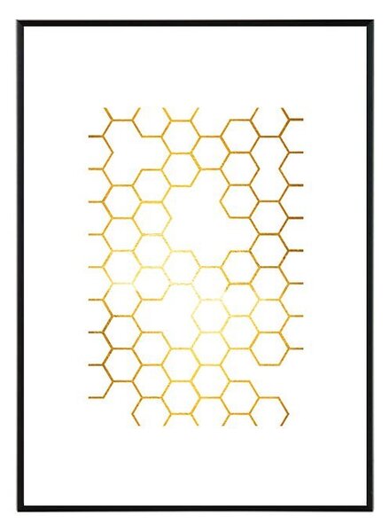 Honey - 30x40 cm Obraz
