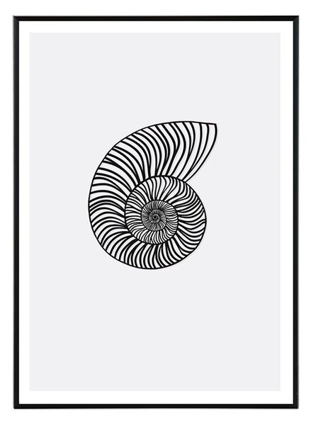Nautilus in black - 50x70 cm Obraz