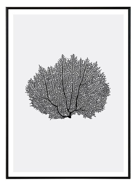 Coral I. in black - 50x70 cm Obraz