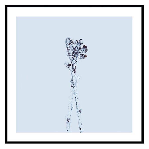 Winter crystals - 30x30 cm Obraz