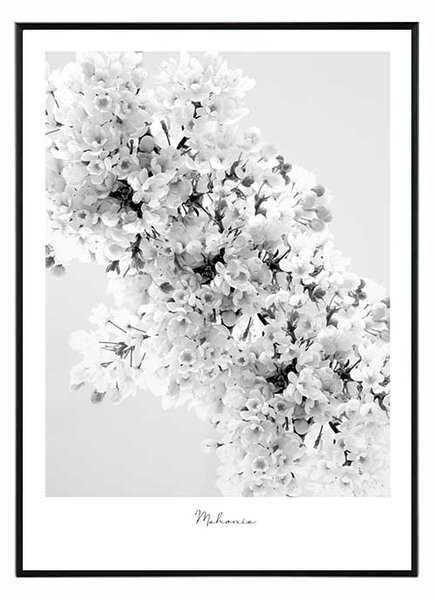 Flower mahonia - 50x70 cm Obraz