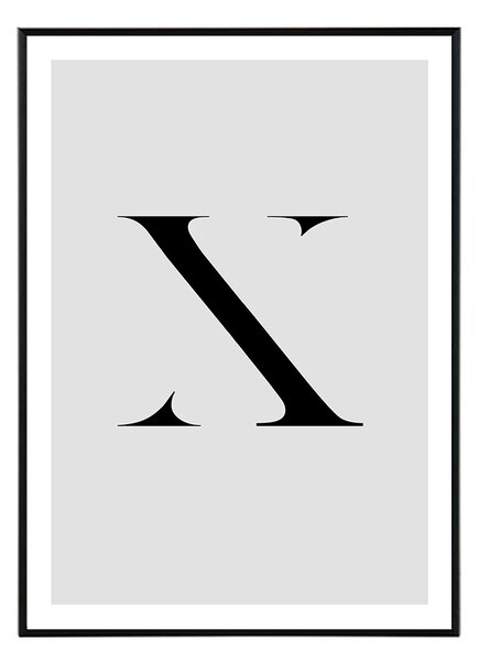 Letter X - 30x40 cm Obraz