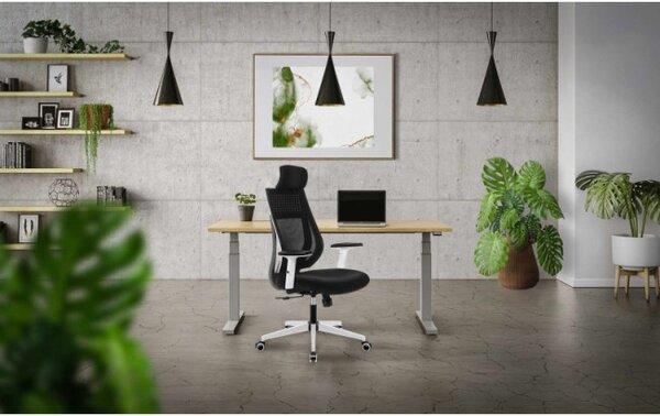 Kancelářská židle Manager 3.9 Black