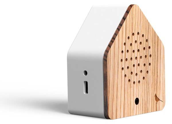 Relaxační zvuková dekorace Satellitebox Red Cardinal Wood