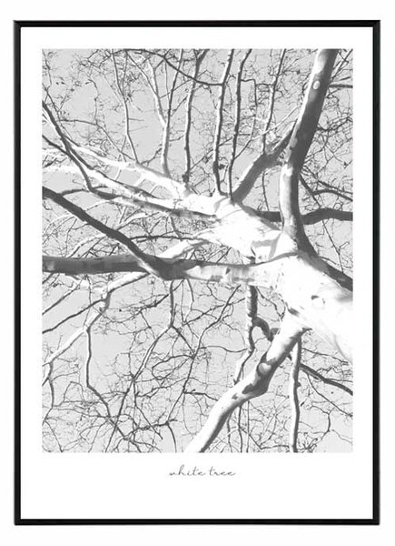 White tree - 30x40 cm Obraz