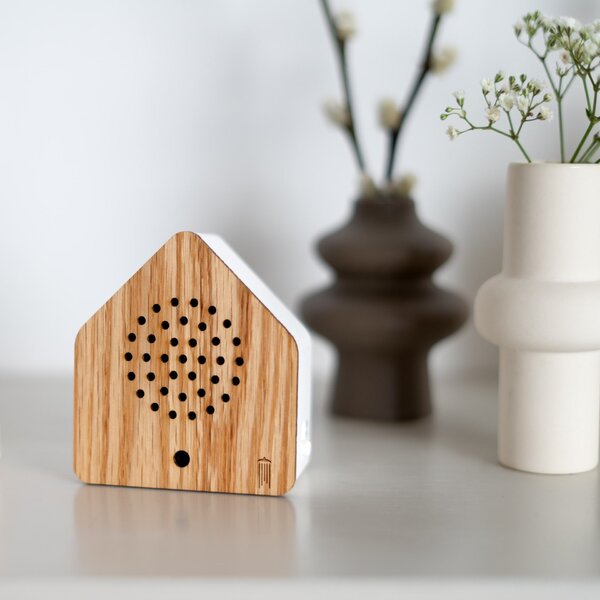 Relaxační zvuková dekorace Satellitebox Red Cardinal Wood