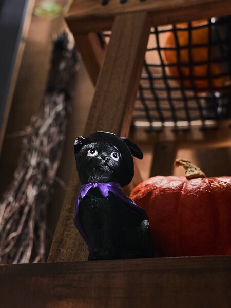 Sinsay - Halloweenská stojací dekorace ve tvaru kočky - černá