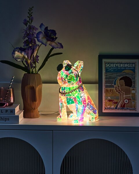 LED dekorace Pes JONKU Vícebarevná