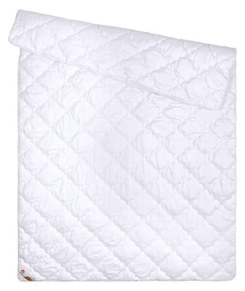 Livarno® Prošívaná dvojitá přikrývka Polygiene®, 200 x 220 cm (100410578)