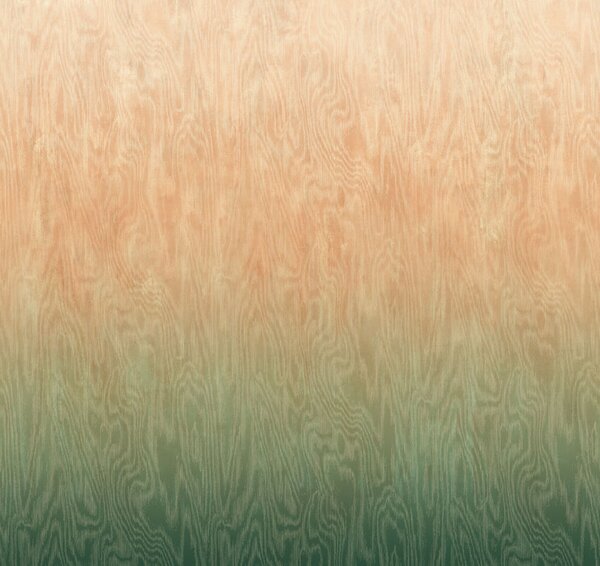 Vliesová fototapeta na zeď, Moiré, DG4MOI1082-260, Wall Designs IV, Khroma by Masureel