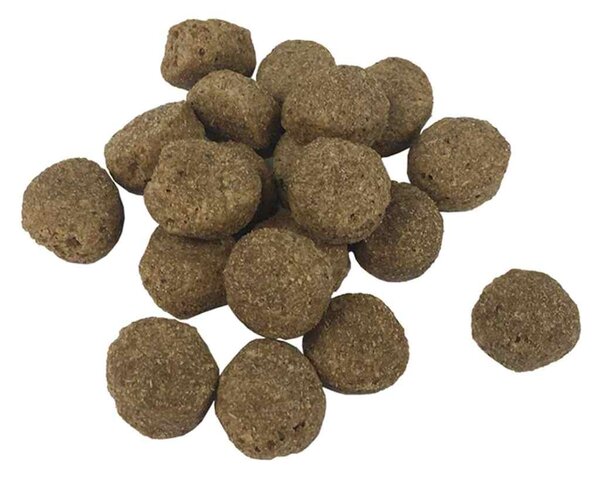 Prémiové suché krmivo pro psy Adult Essence Beef 15 kg 170490