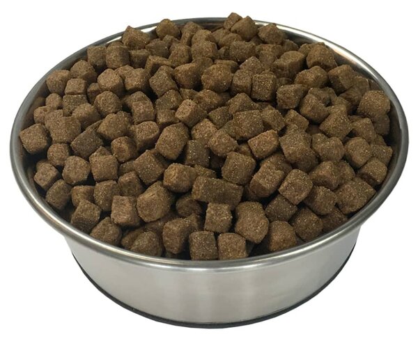 Prémiové suché krmivo pro psy Adult Active Chicken & Fish 15 kg 170493