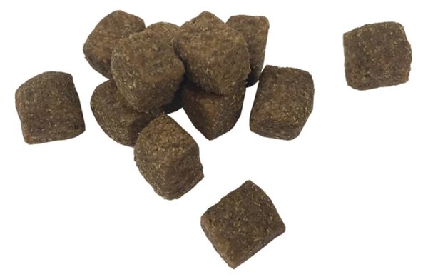 Prémiové suché krmivo pro psy Adult Active Chicken & Fish 15 kg 170493