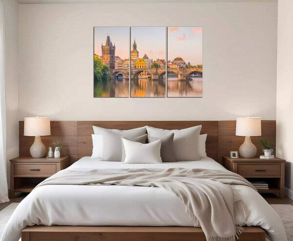 Obraz na plátně Karlův most a Vltava