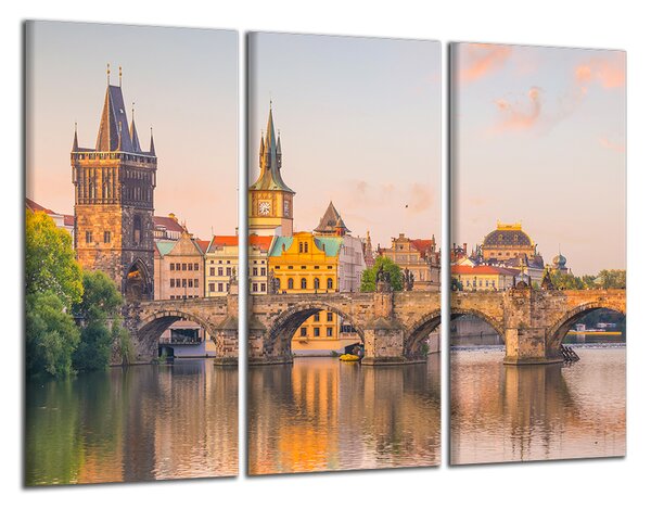 Obraz na plátně Karlův most a Vltava