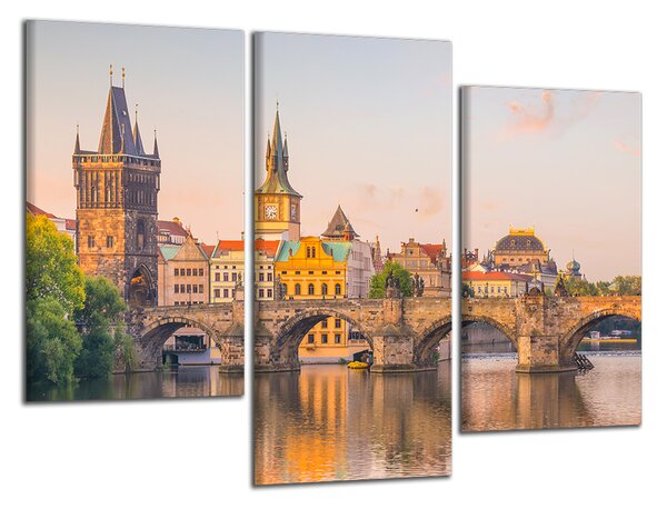 Obraz na plátně Karlův most a Vltava
