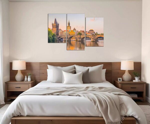Obraz na plátně Karlův most a Vltava