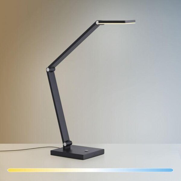 PAUL NEUHAUS LED stolní lampa SAMSKY, šedá, stmívatelné, nastavitelná výška, paměťová funkce 2700-5000K