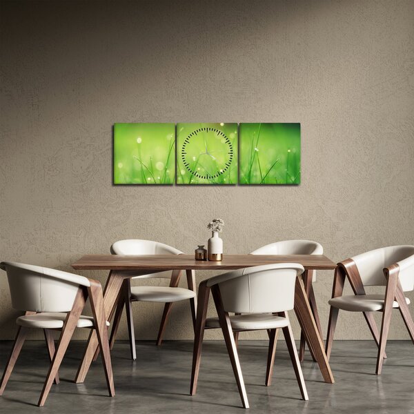Obraz - rosa na trávě (s hodinami) (90x30 cm)